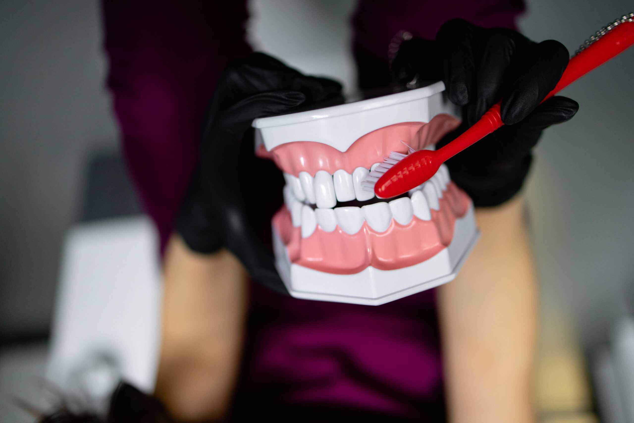 Dental professional holding a large model of teeth to explain dental anatomy and oral hygiene